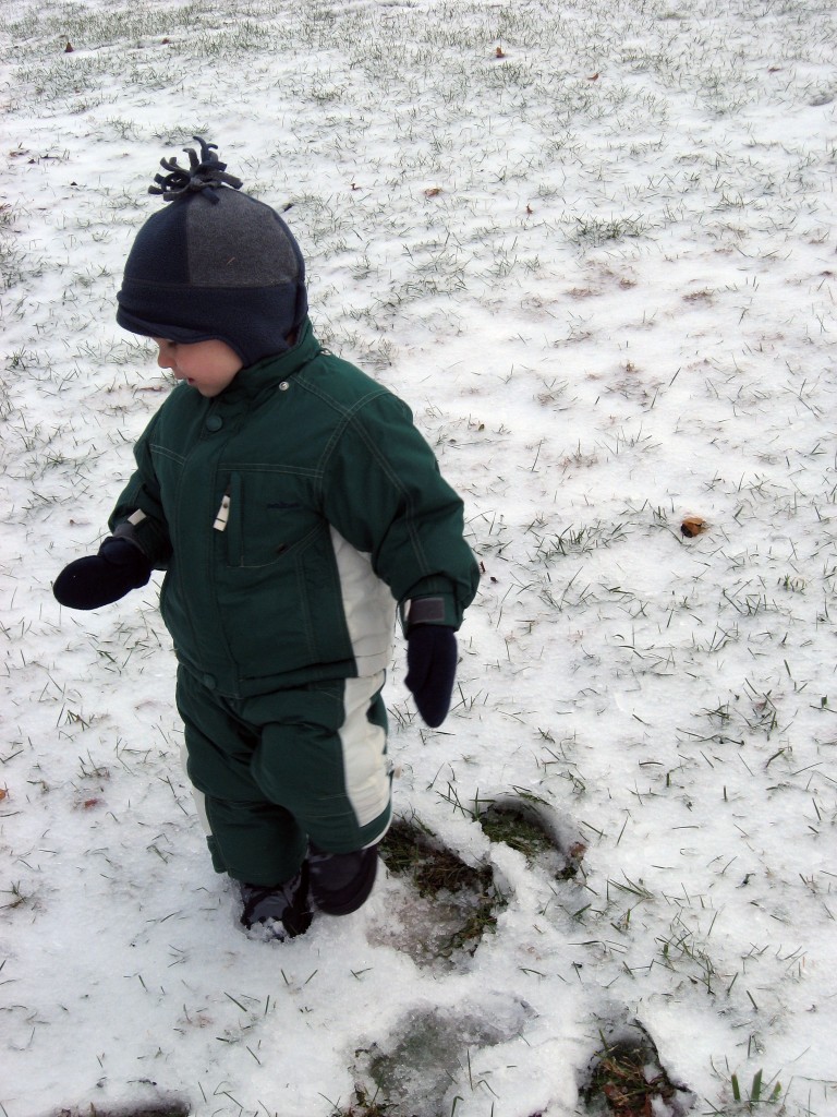 David in Snow